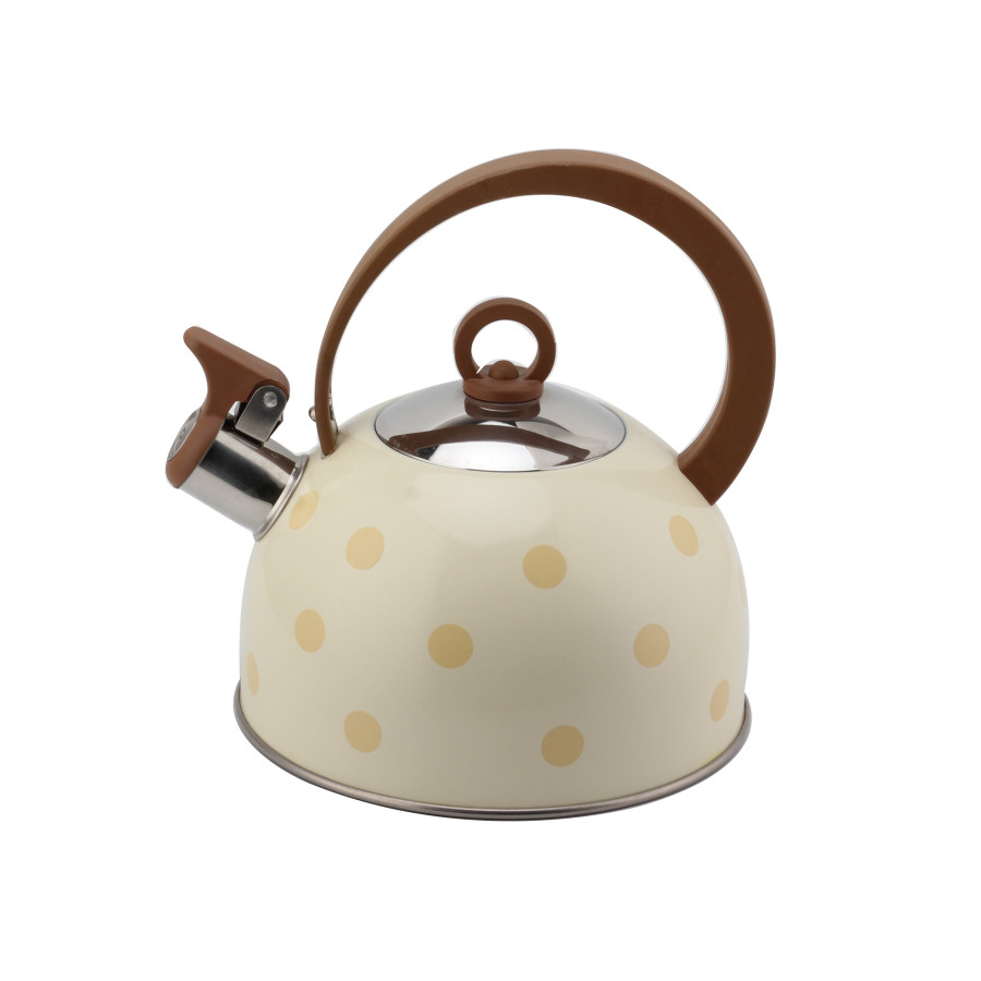 Stainless Steel Whistling Kettle for Tea — 3