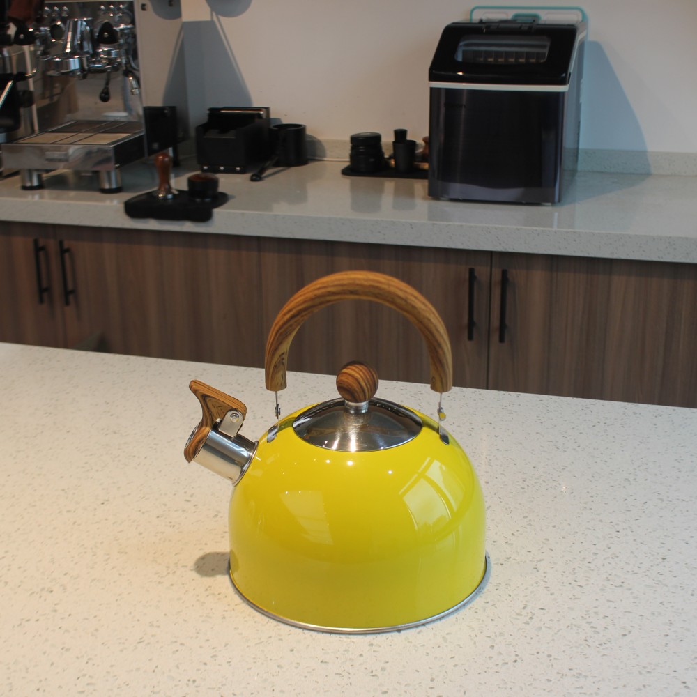 Stainless Steel whistling Kettle — product information