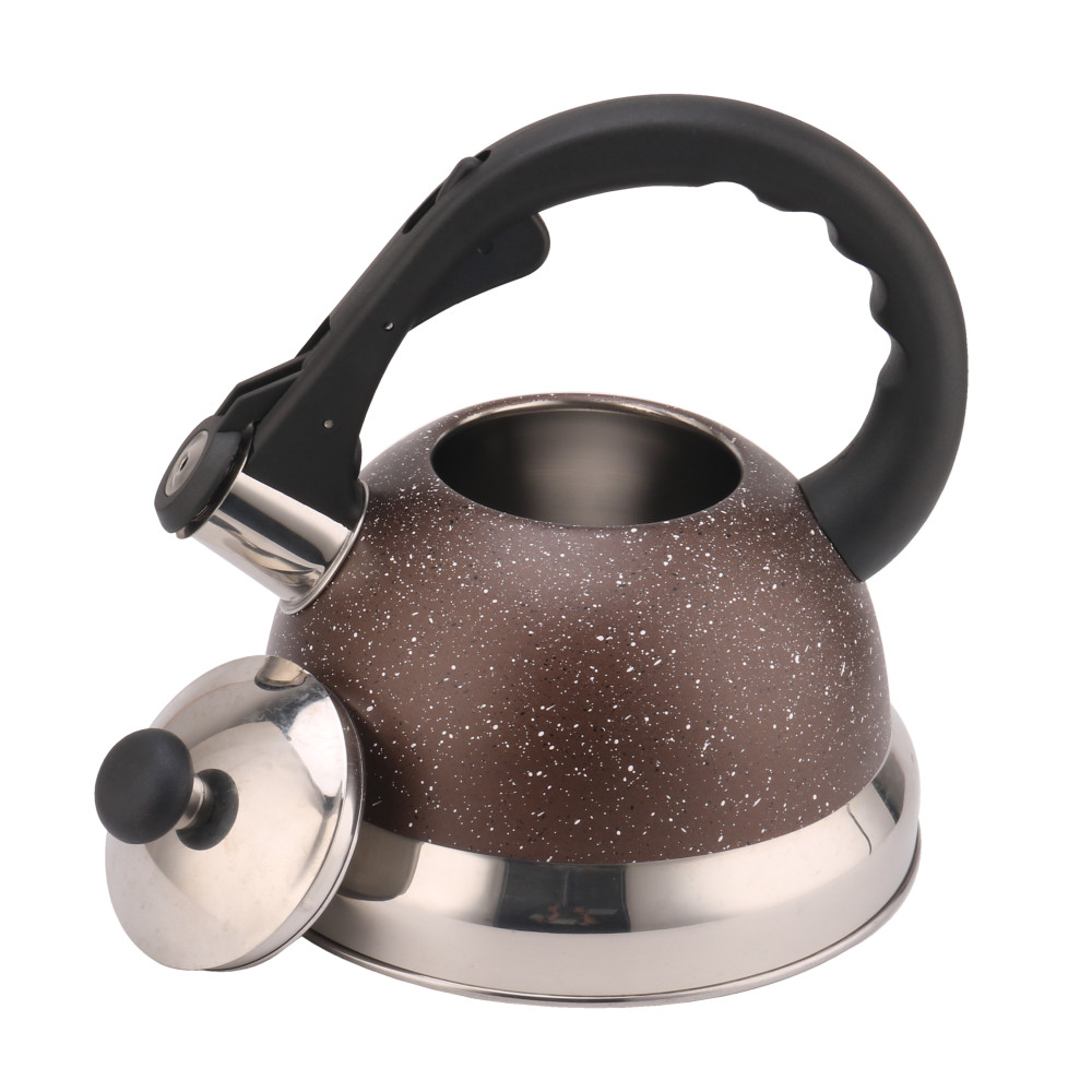 Stainless Steel Whistling Tea Kettle With Silicone Handle Coffee And Tea Sets — 6