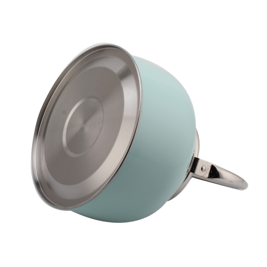 Stainless Steel Whistling Tea Kettle, Tea Kettle for All Hobs — 5