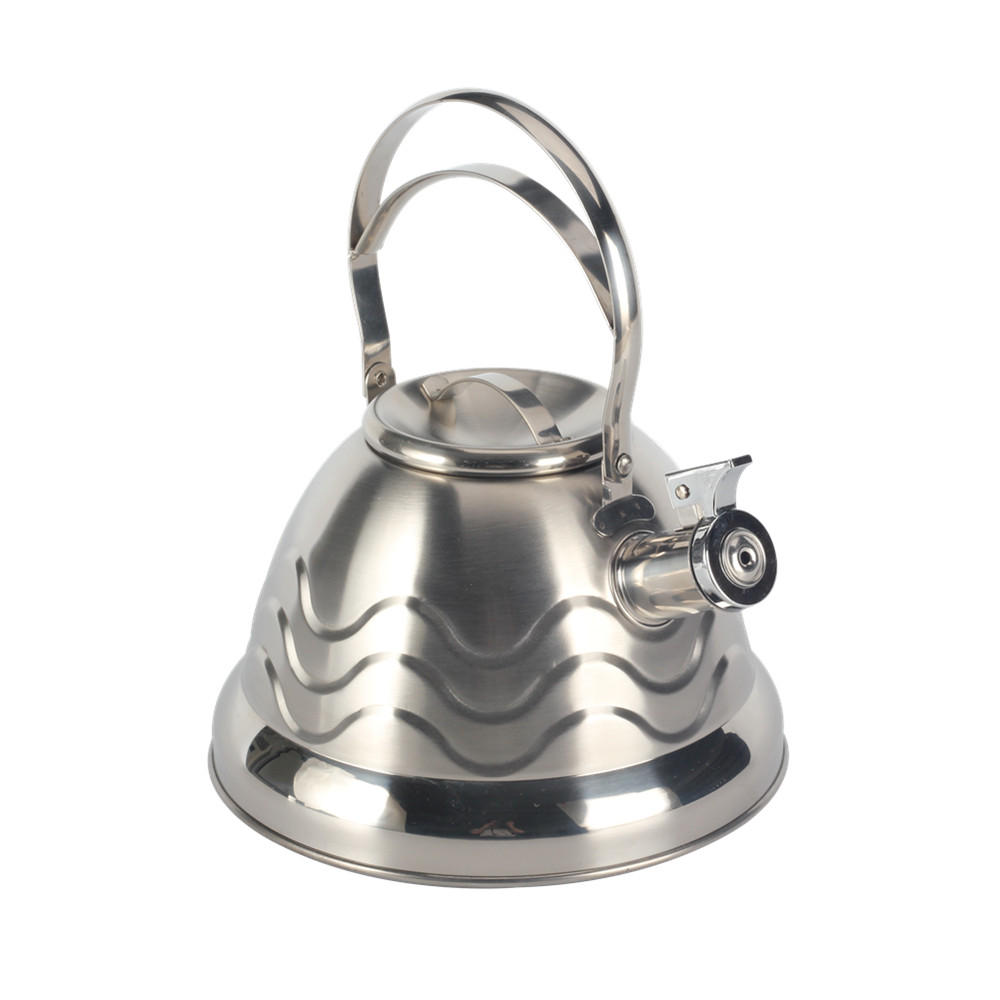 Stainless Steel Whistling Kettle, Tea Kettle for All Hobs — product information