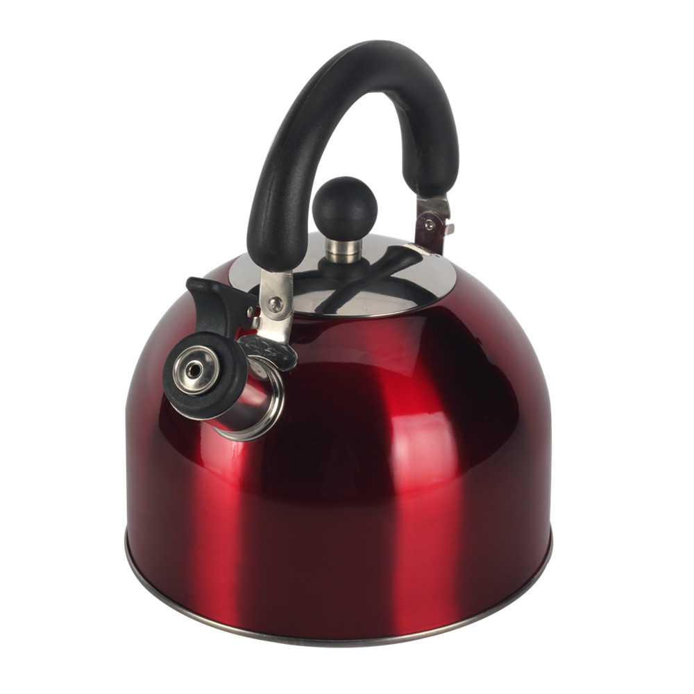 Stainless Steel whistling Kettle — 4