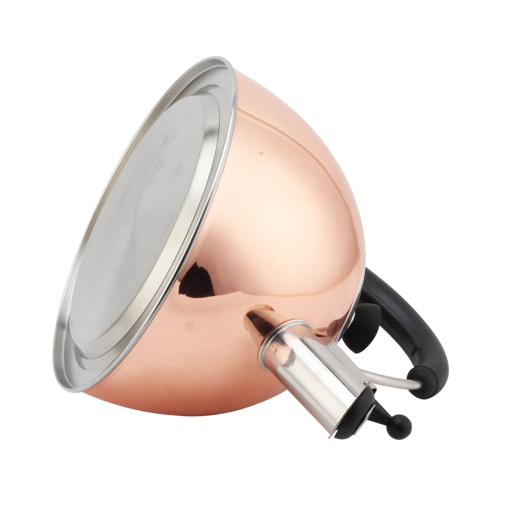 Modern S/S Whistling Kettle for Kitchen — 5