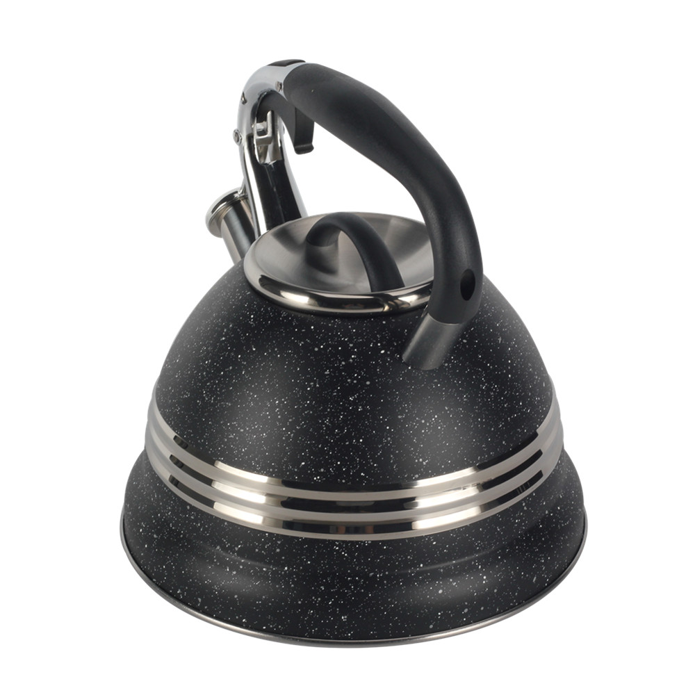 Stainless Steel whistling Kettle — 2