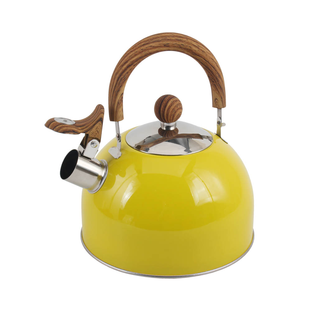 Stainless Steel whistling Kettle — 3