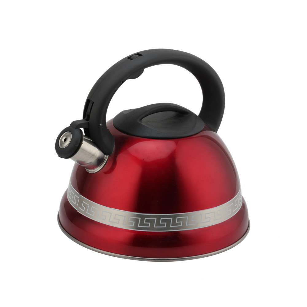 Stainless Steel Kettle With Induction Cooker-Suitable for All Hob Types — 2