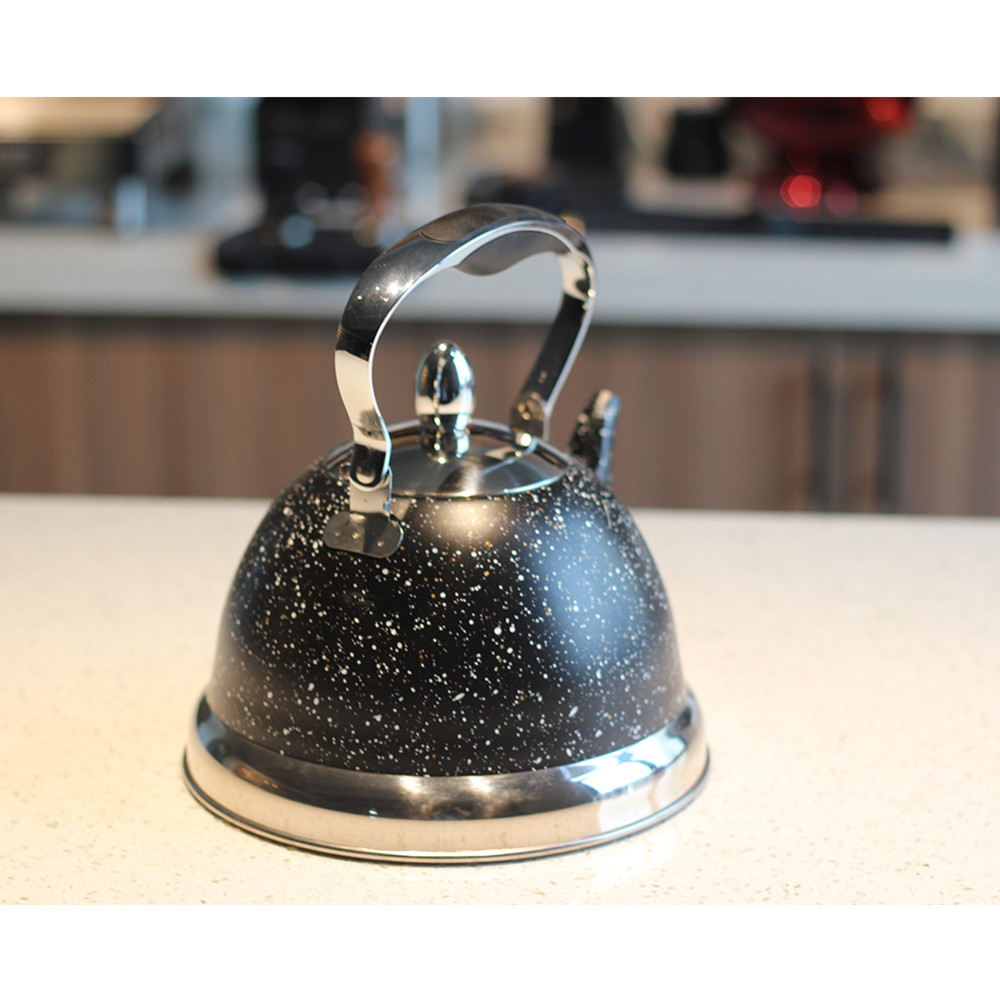 Stainless Steel whistling Kettle — product information