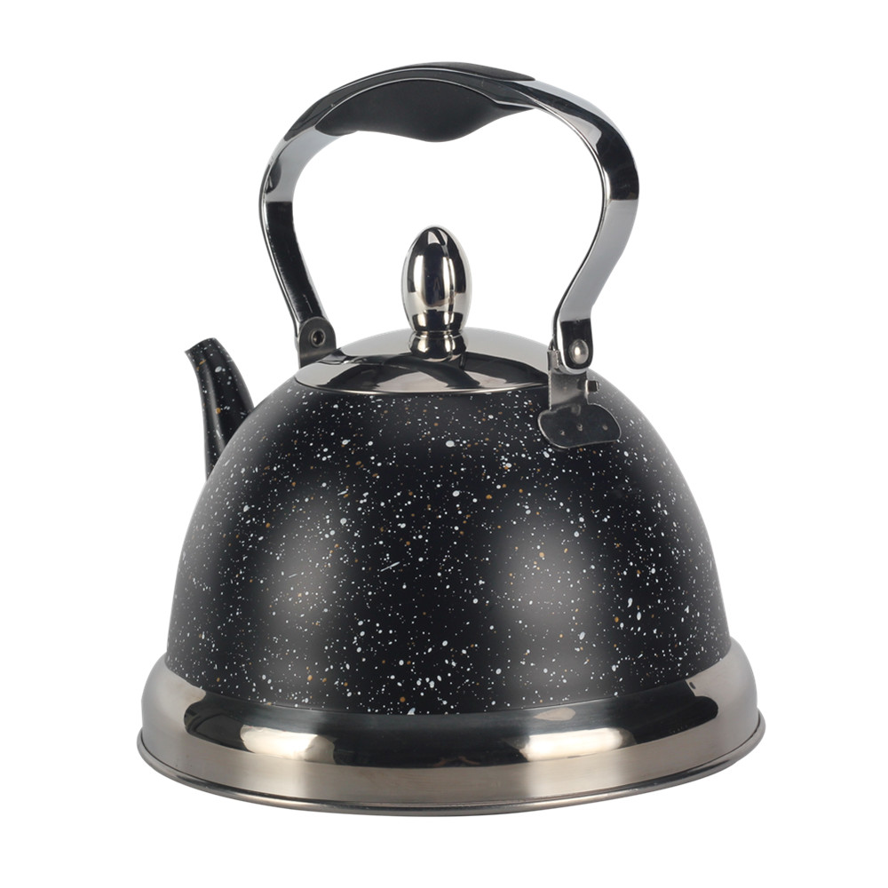 Stainless Steel whistling Kettle — 3