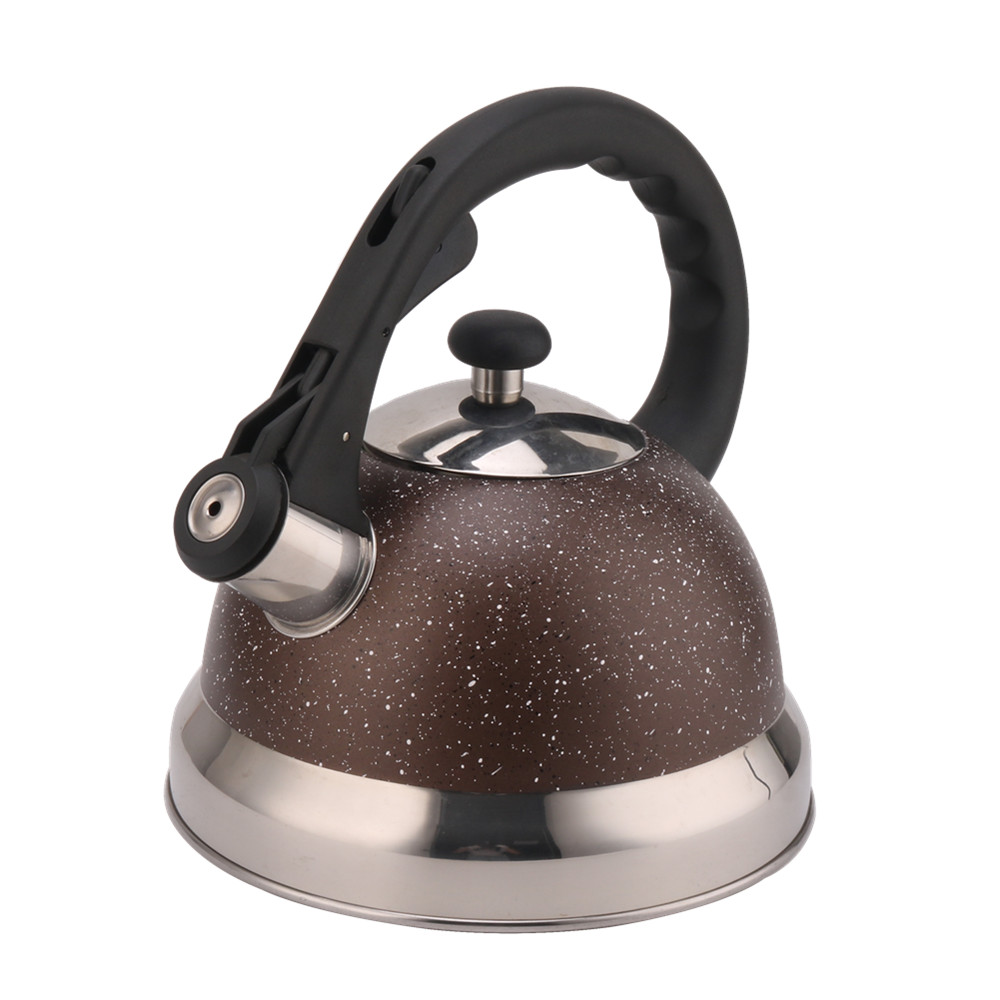 3 Litre Capacity Stainless Steel Whistling Kettle — 3