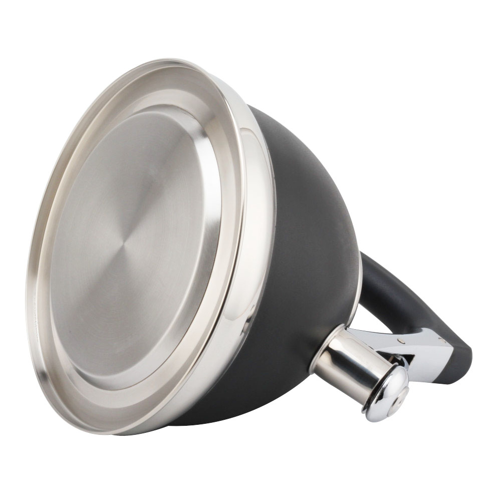 S/S Whistling Kettle With Handle — product information