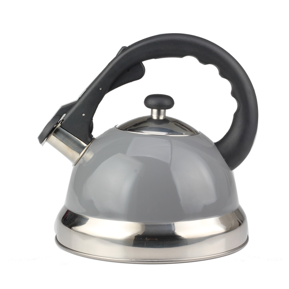Modern Whistling Kettle Crafted for Kitchen Camping Picnic — product information