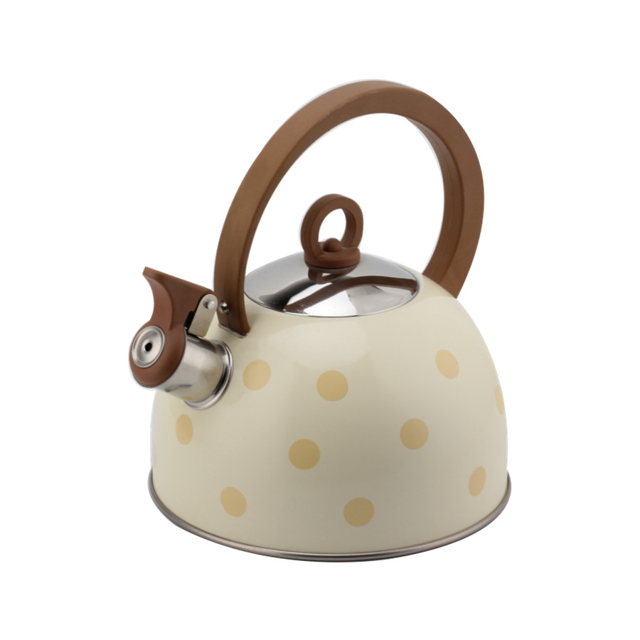 Stainless Steel Whistling Kettle for Tea — product information