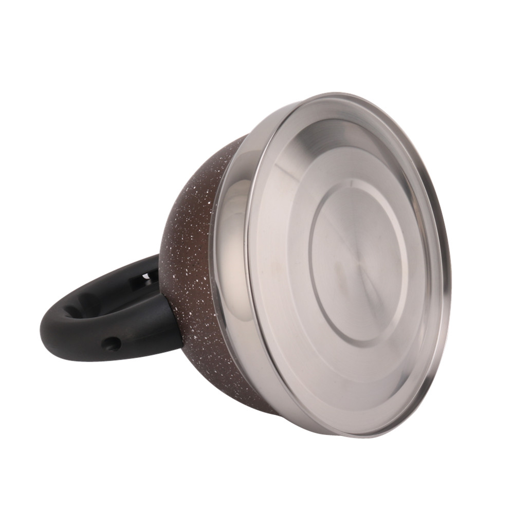 3 Litre Capacity Stainless Steel Whistling Kettle — 6