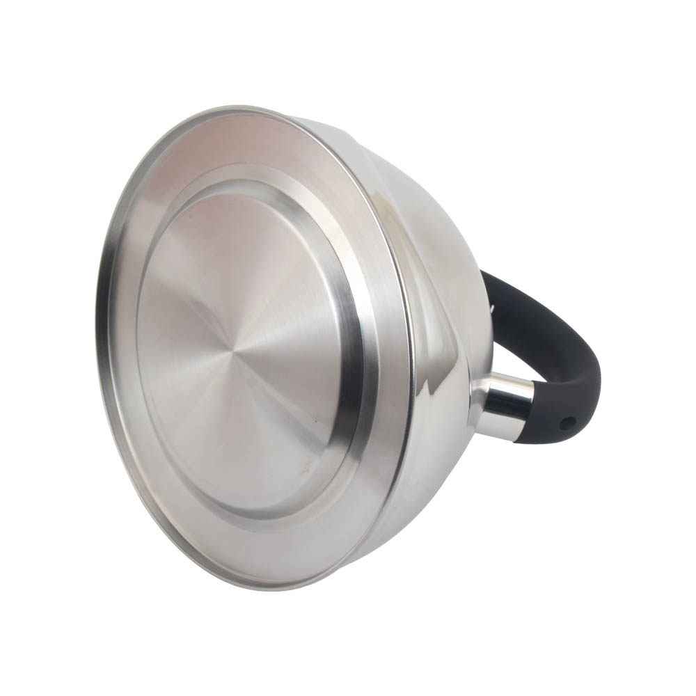 Stainless Steel Whistling Tea Kettle, Silver-Colored — 2