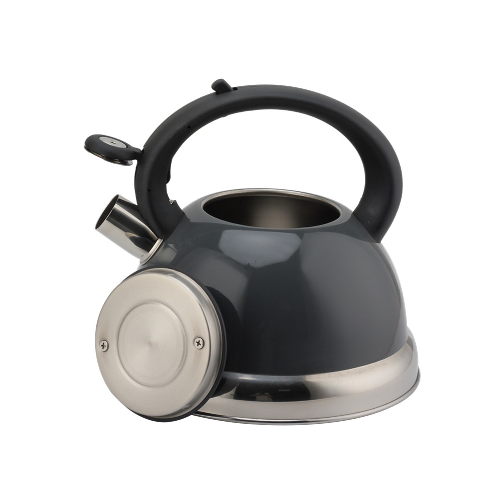 Stainless Steel Kettle - Whistling Kettle Gas Stove - Kettle Stove — 7