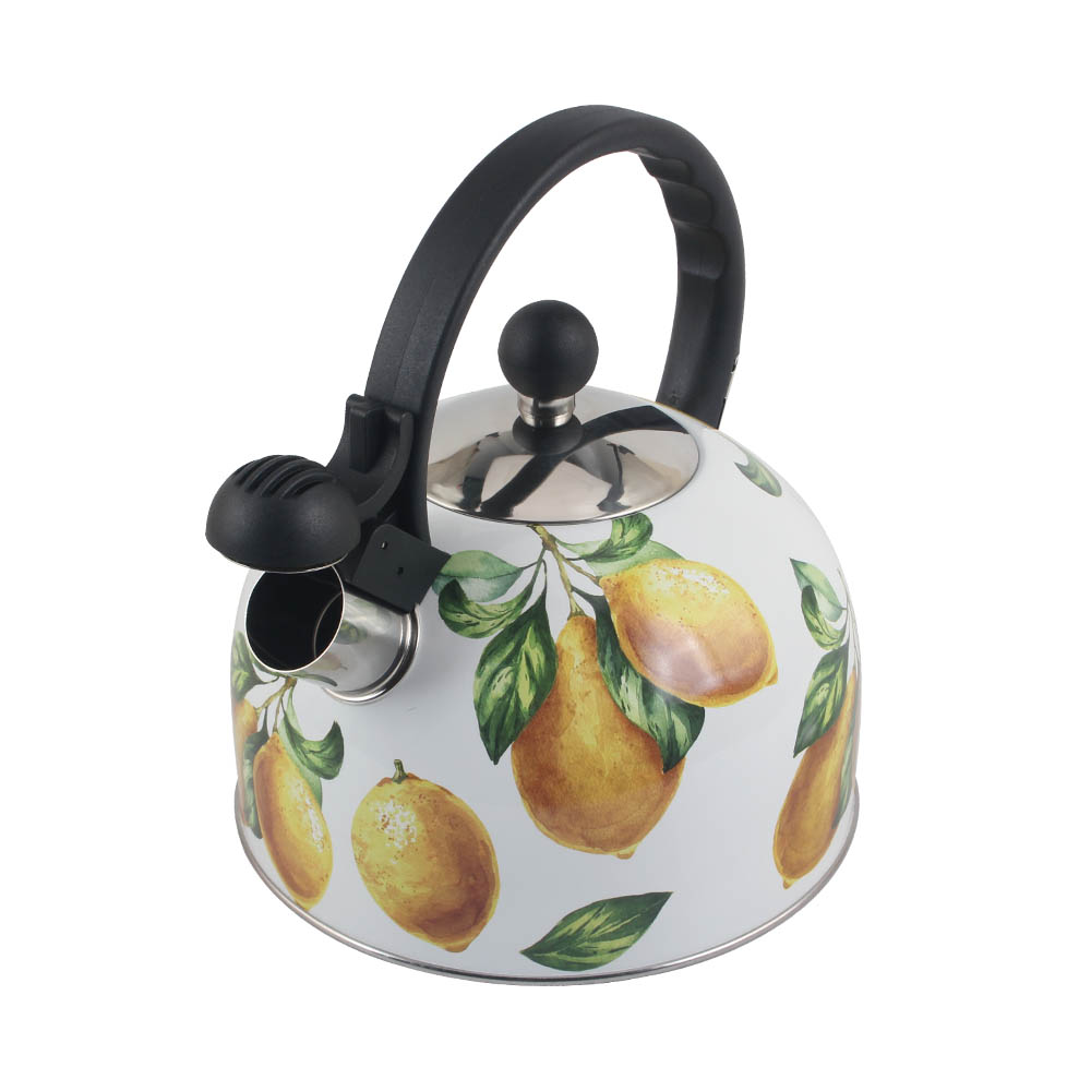 Stainless Steel whistling Kettle — product information