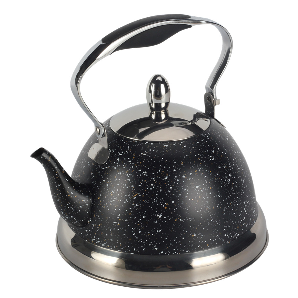 Stainless Steel whistling Kettle — 2