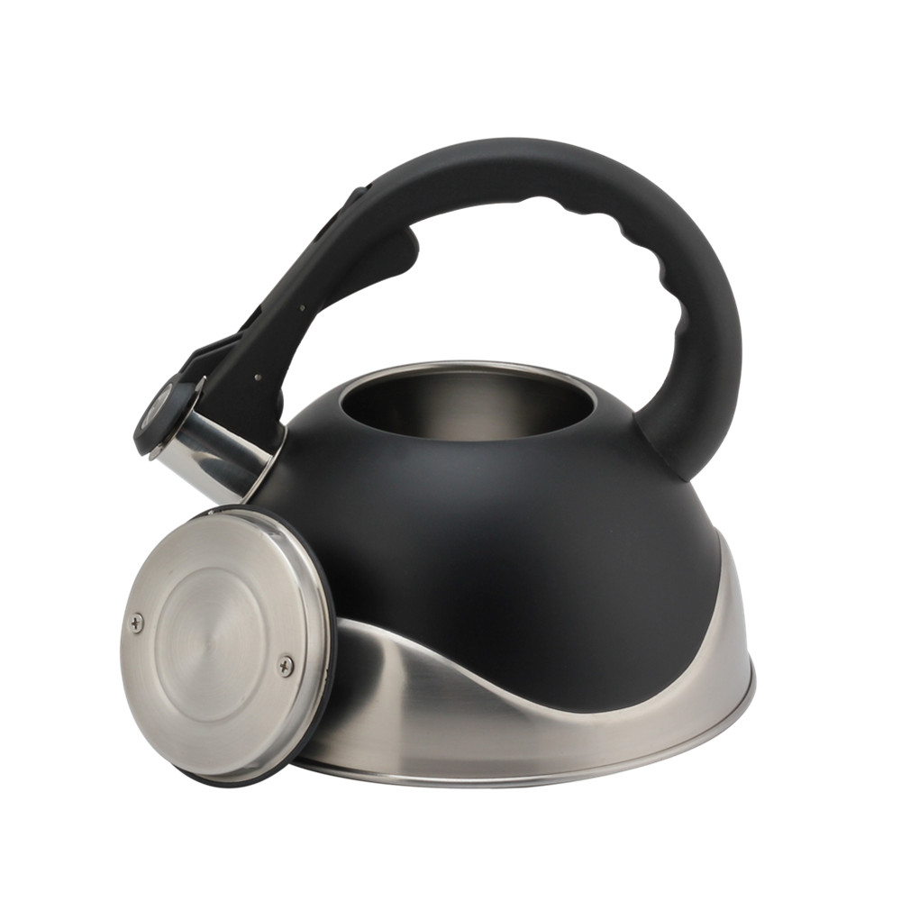 Stainless Steel Whistling Kettle, Ergonomic Handle, Black Color — 6