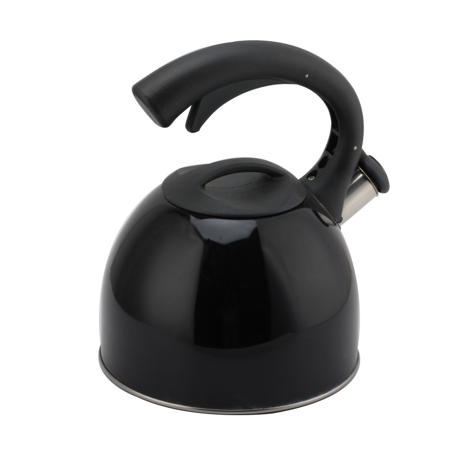 Stainless Steel Whistling Kettle (Black) — 6
