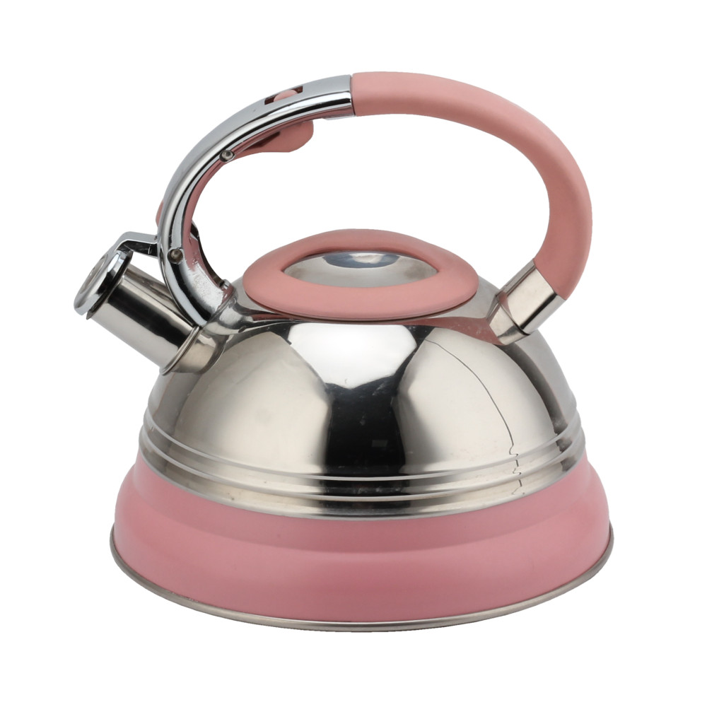 Modern Induction Kettle, Stainless Steel Whistling Kettle, Tea Kettle for All Hobs