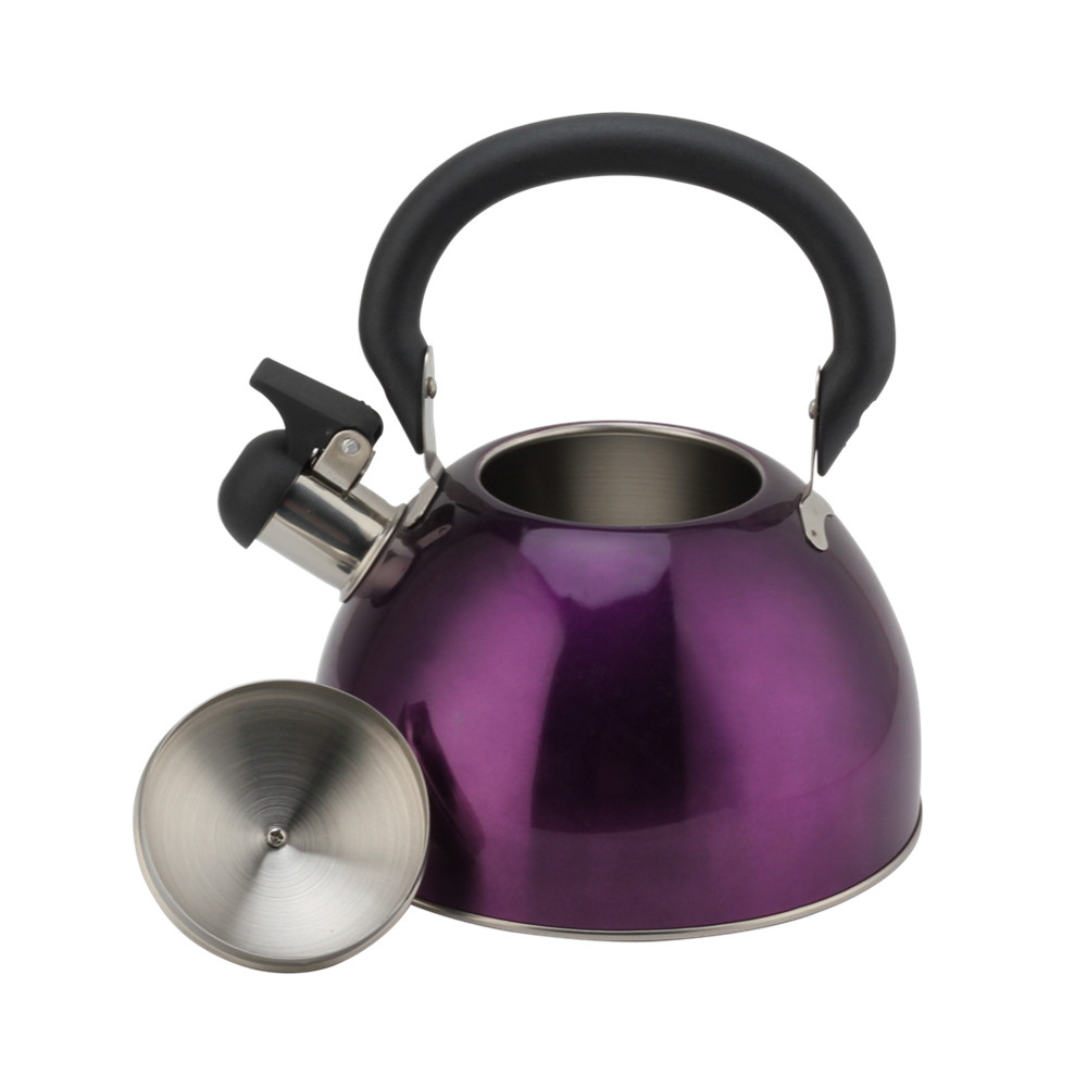 Stainless Steel Whistling Kettle -Teapot Suitable for Induction And Gas — 5