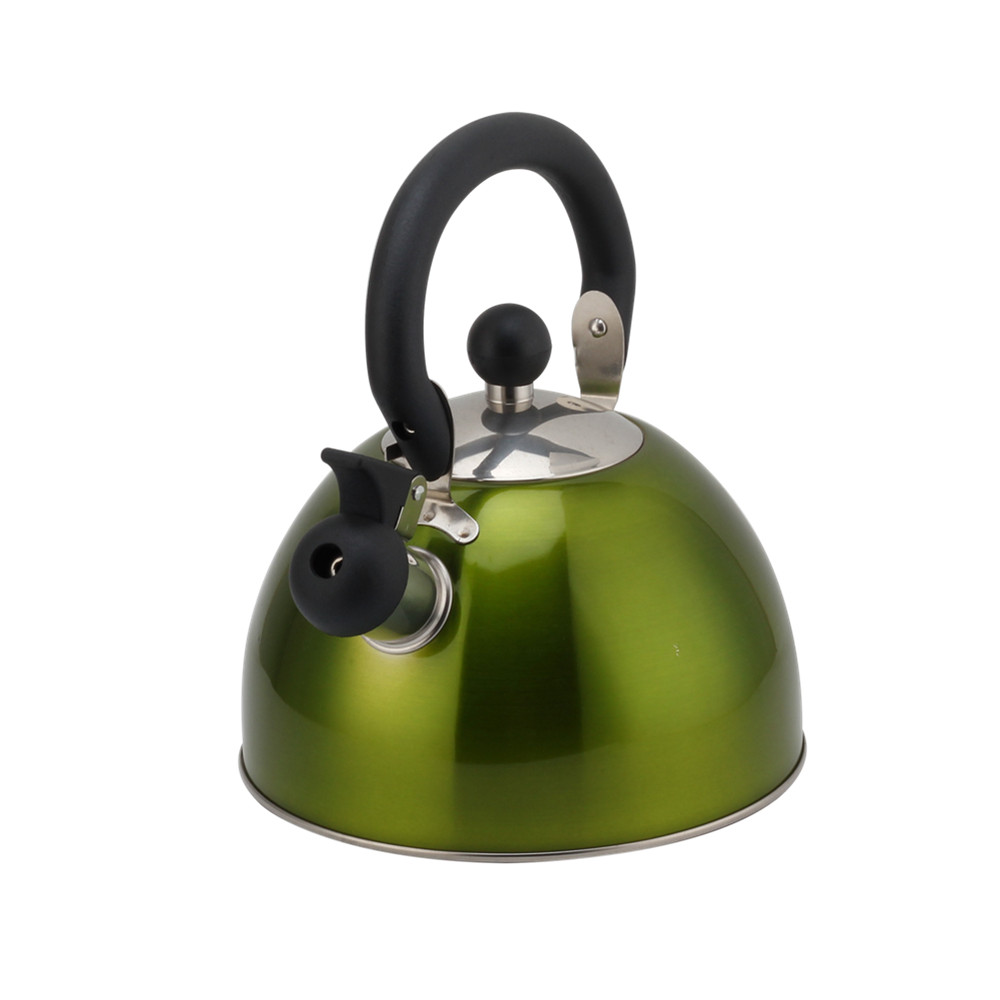 Stainless Steel Whistling Kettle, Ergonomic Handle, Green Color — 5