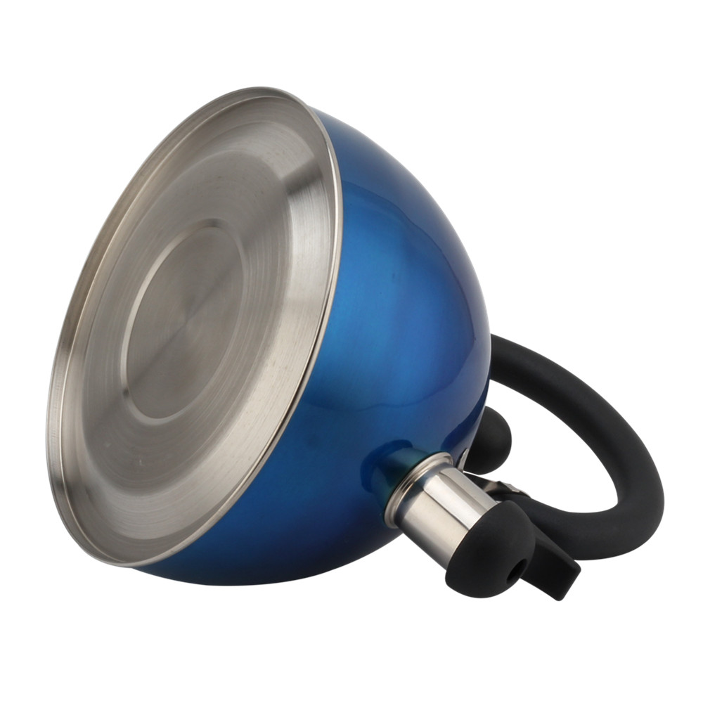 Stainless Steel Whistling Kettle (Blue) — 3