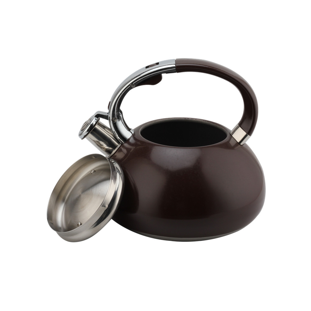 Whistling Kettle-Kettle With Flute-Tea Kettle-Stainless Steel-Induction — 6