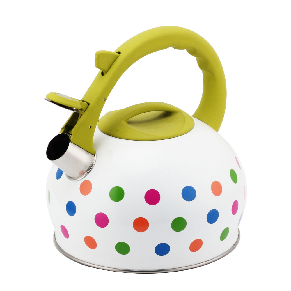 Stainless Steel Tea Kettle With Whistling Sound-Green Handle — 4