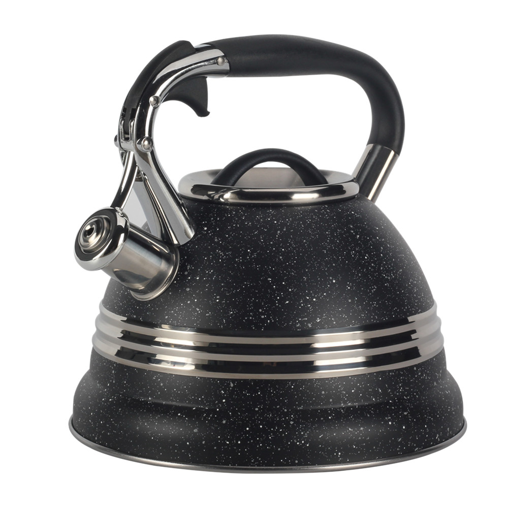 Stainless Steel whistling Kettle — 4