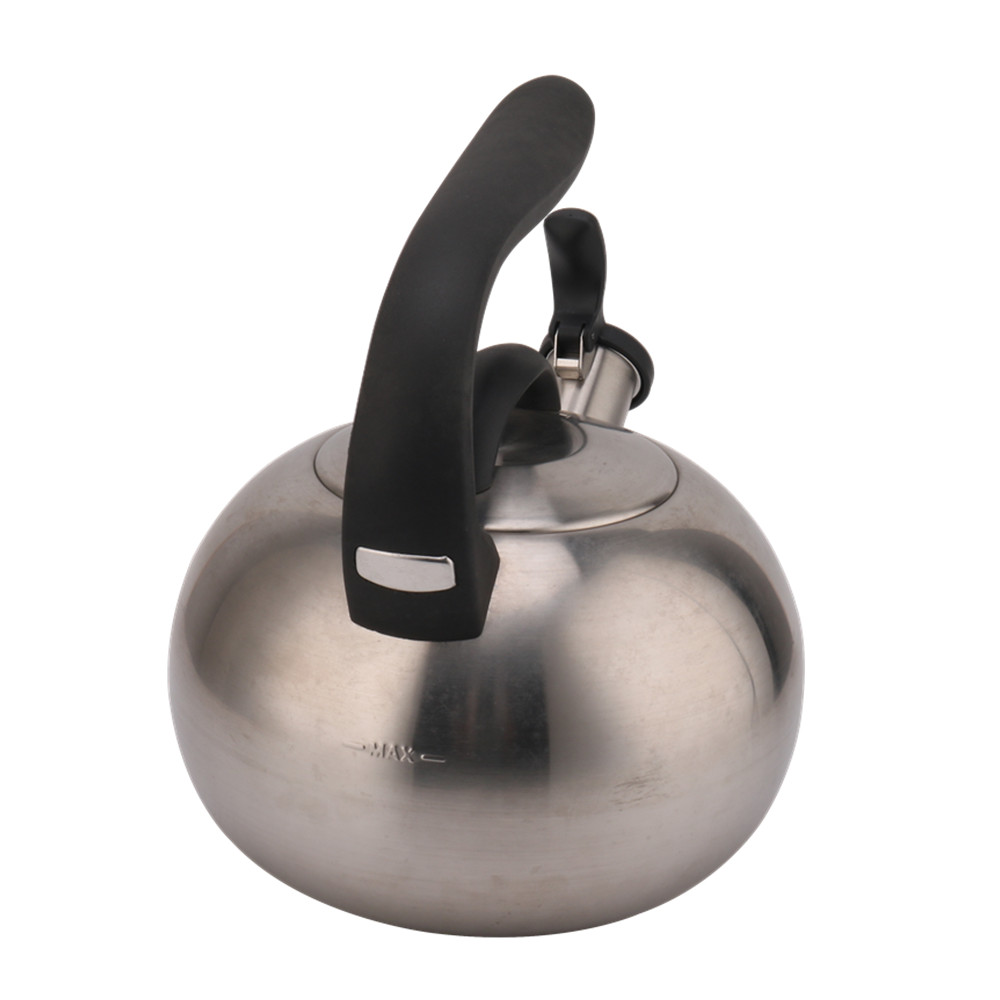 Whistling Kettle for Tea & Coffee, Oval Shape — 2