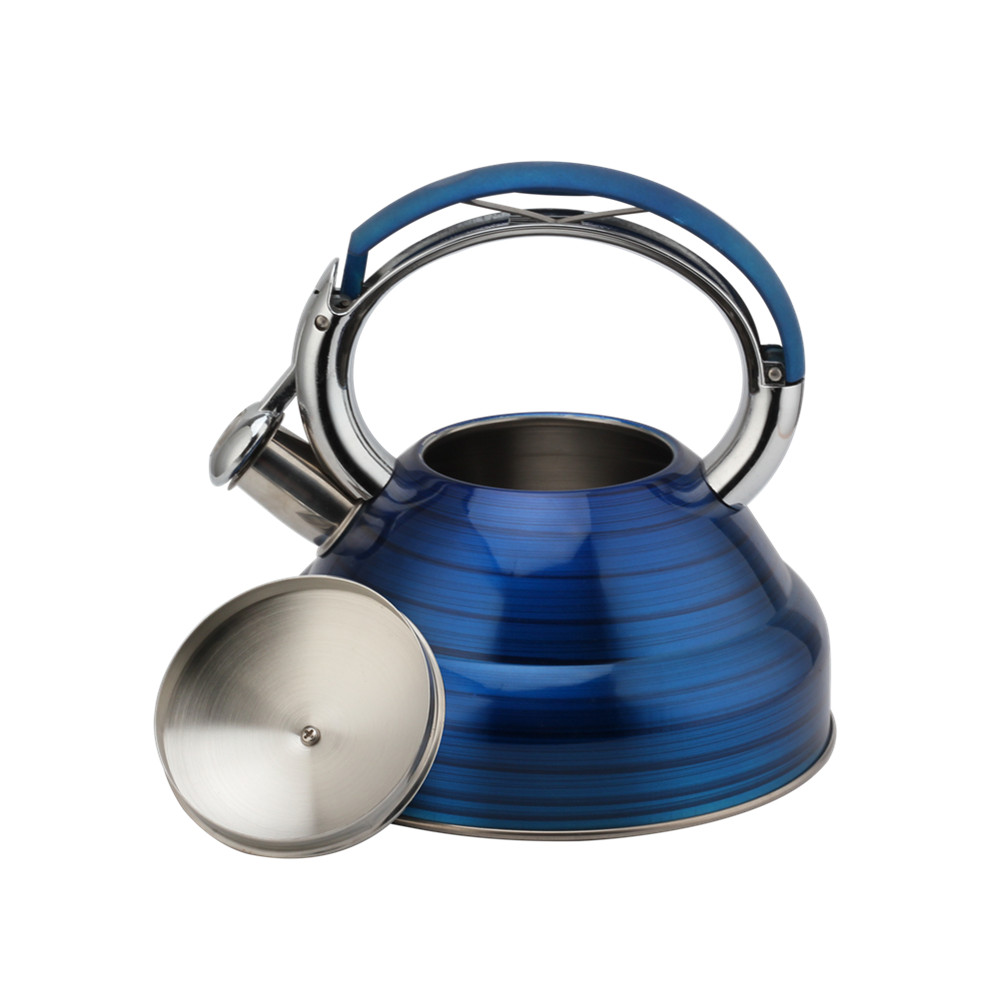 Modern Induction Whistling Kettle Stainless Steel Tea Kettle for All Hobs — 2