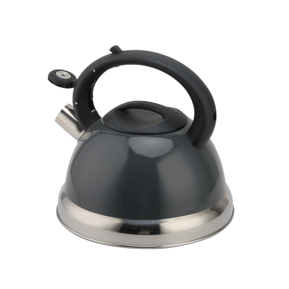 Stainless Steel Kettle - Whistling Kettle Gas Stove - Kettle Stove — 4