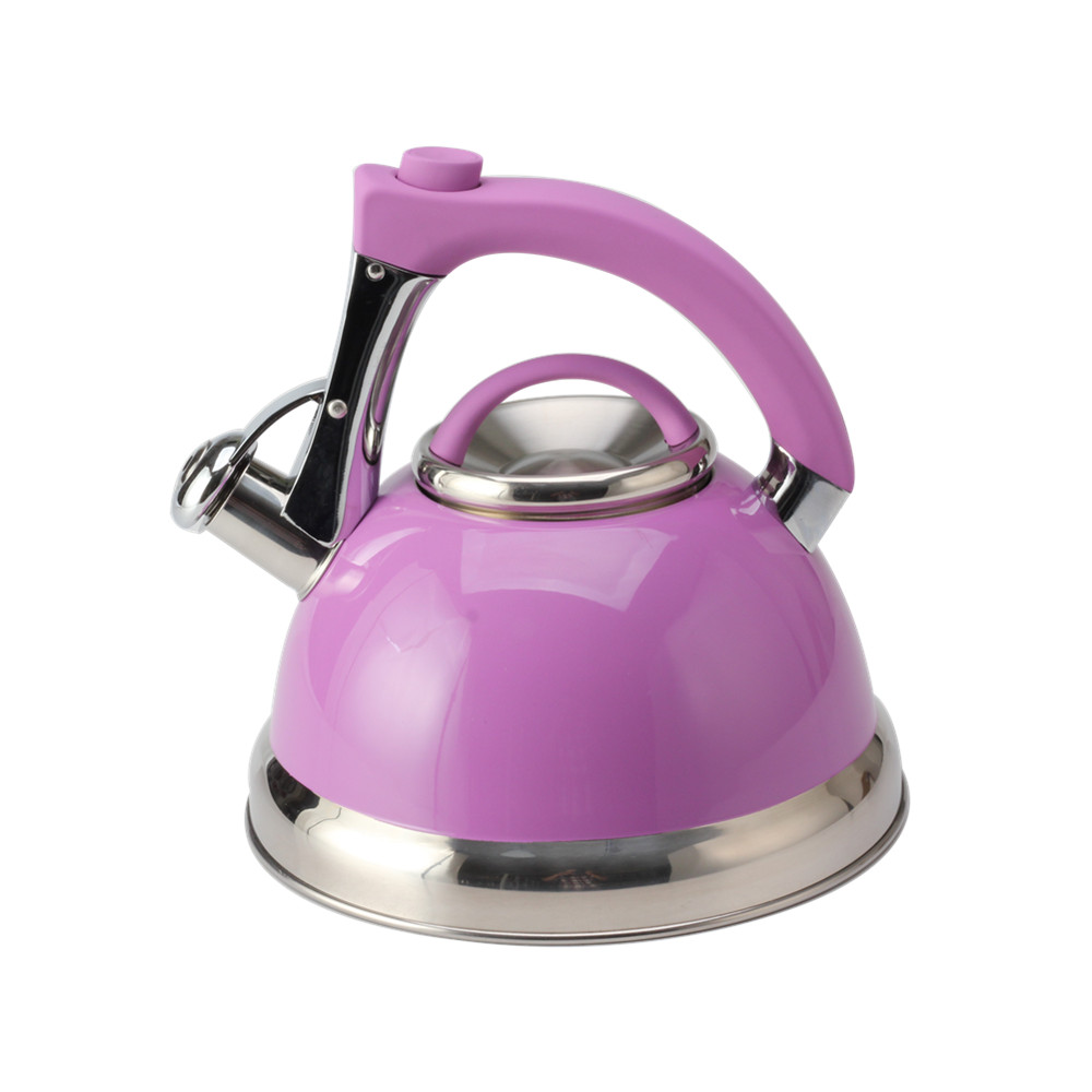 Classic Stainless Steel Whistling Tea Kettle With Purple Handle — product information