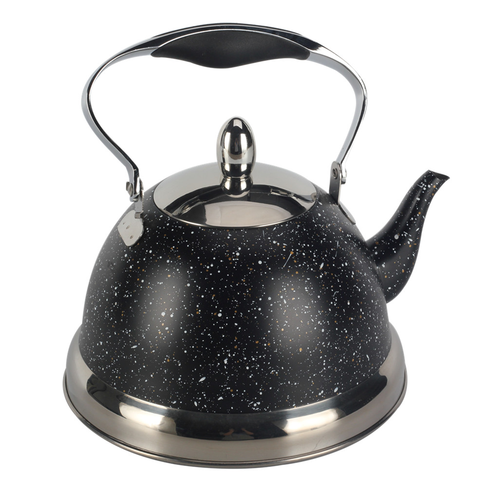 Stainless Steel whistling Kettle — 4