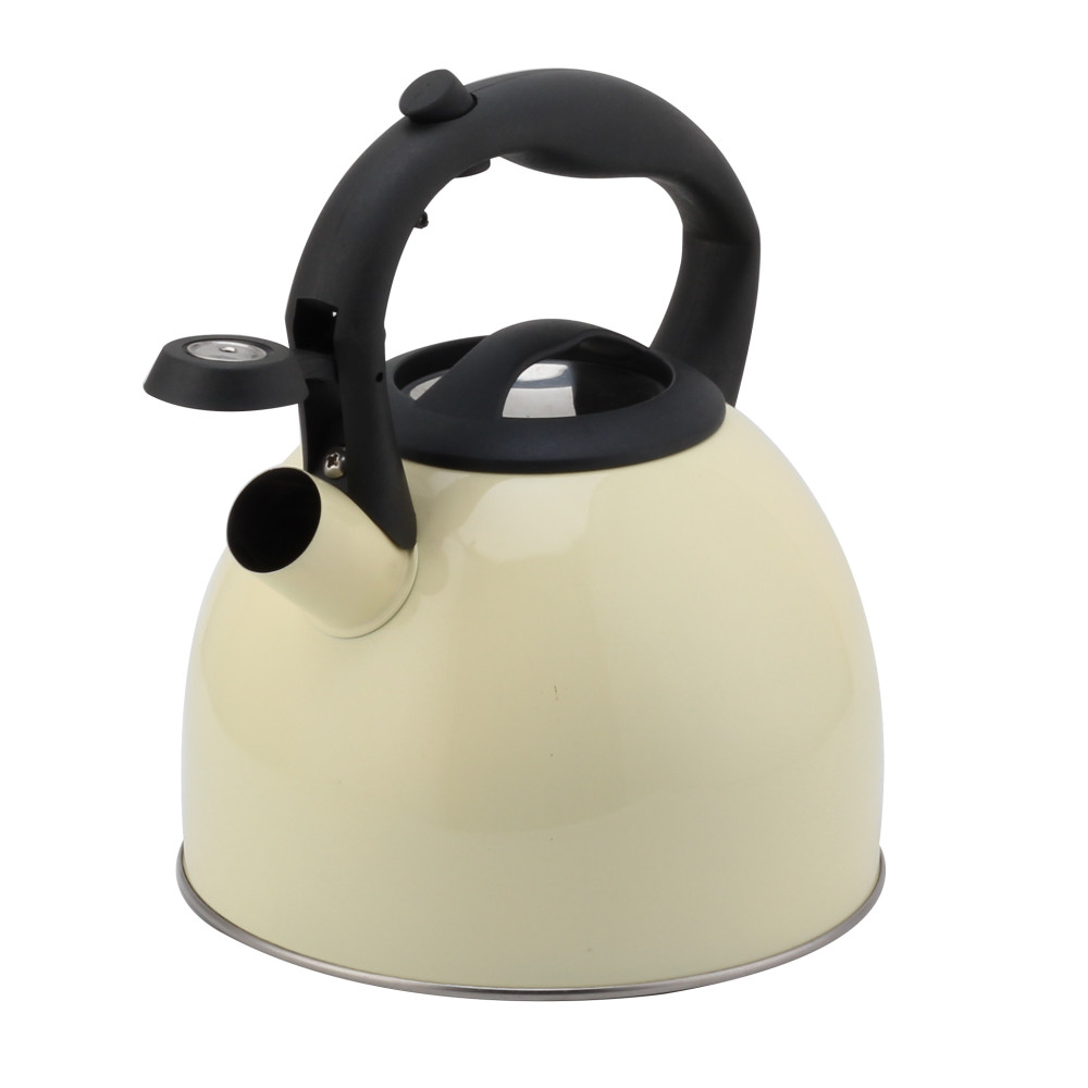 Fashionable S/S Whistling Kettle for Kitchen-Light Color — 2