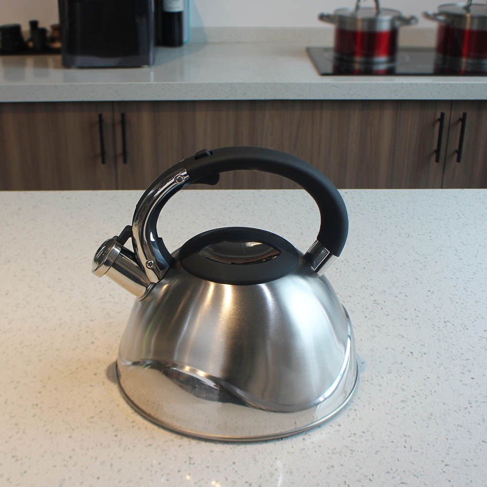 Stainless Steel whistling Kettle — product information