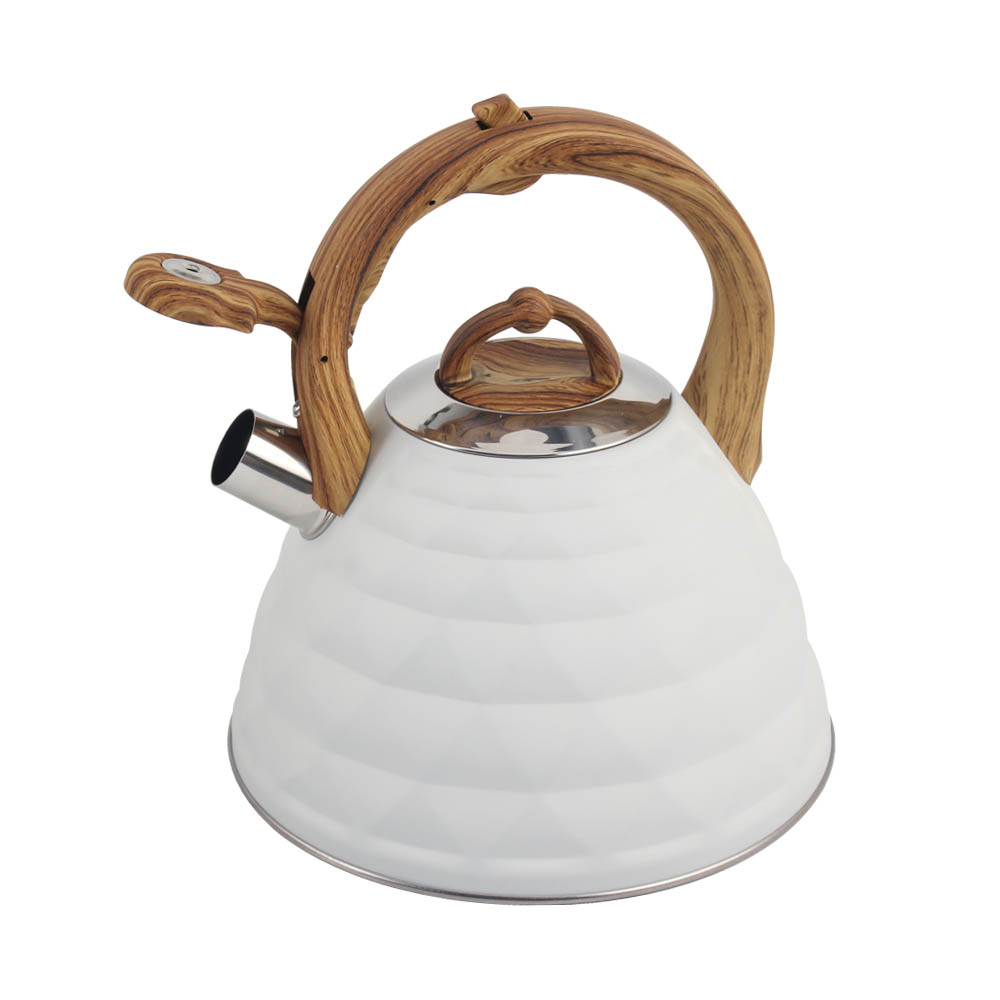 Stainless Steel Whistling Kettle (White) — 5