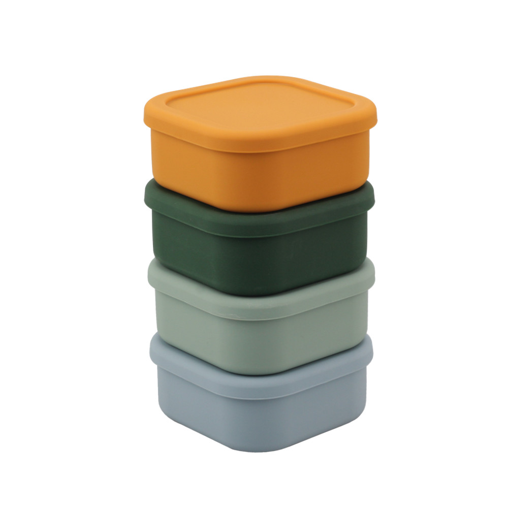 Stainless Steel Lunch Box