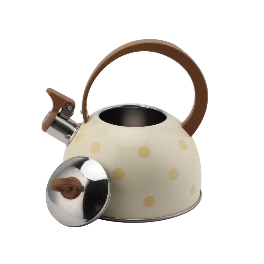 Stainless Steel Whistling Kettle for Tea — 6