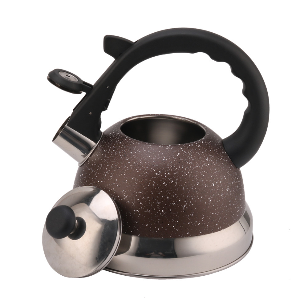 3 Litre Capacity Stainless Steel Whistling Kettle — 2