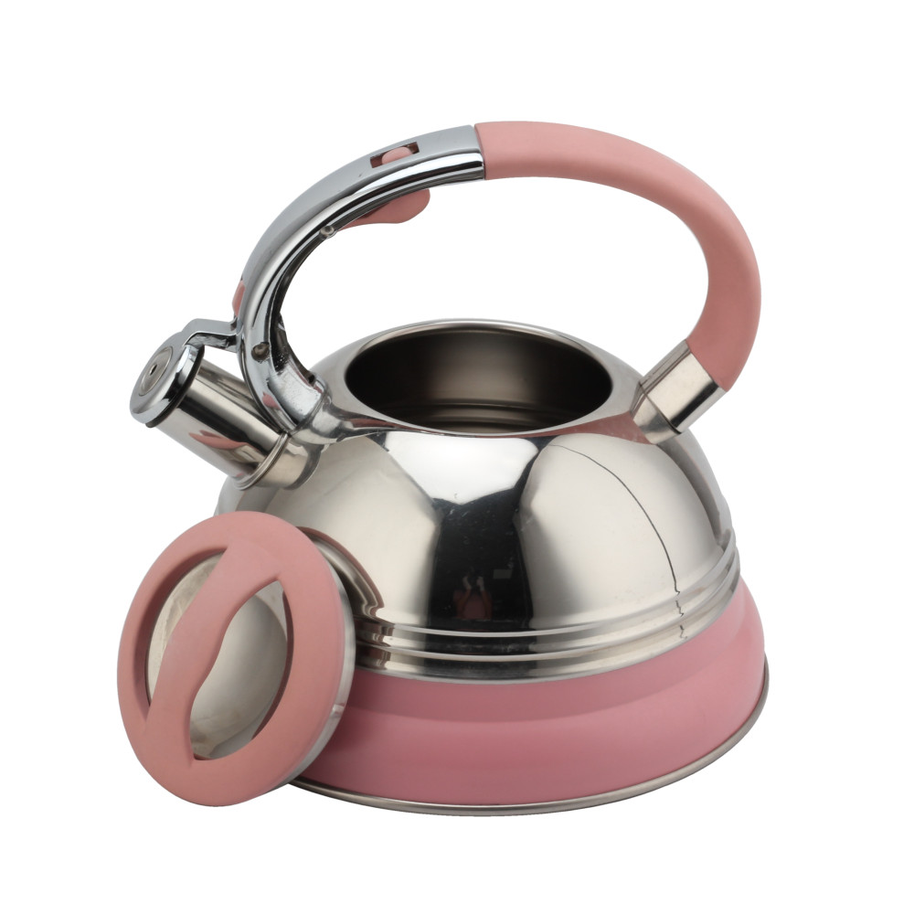 Modern Induction Kettle, Stainless Steel Whistling Kettle, Tea Kettle for All Hobs — 5