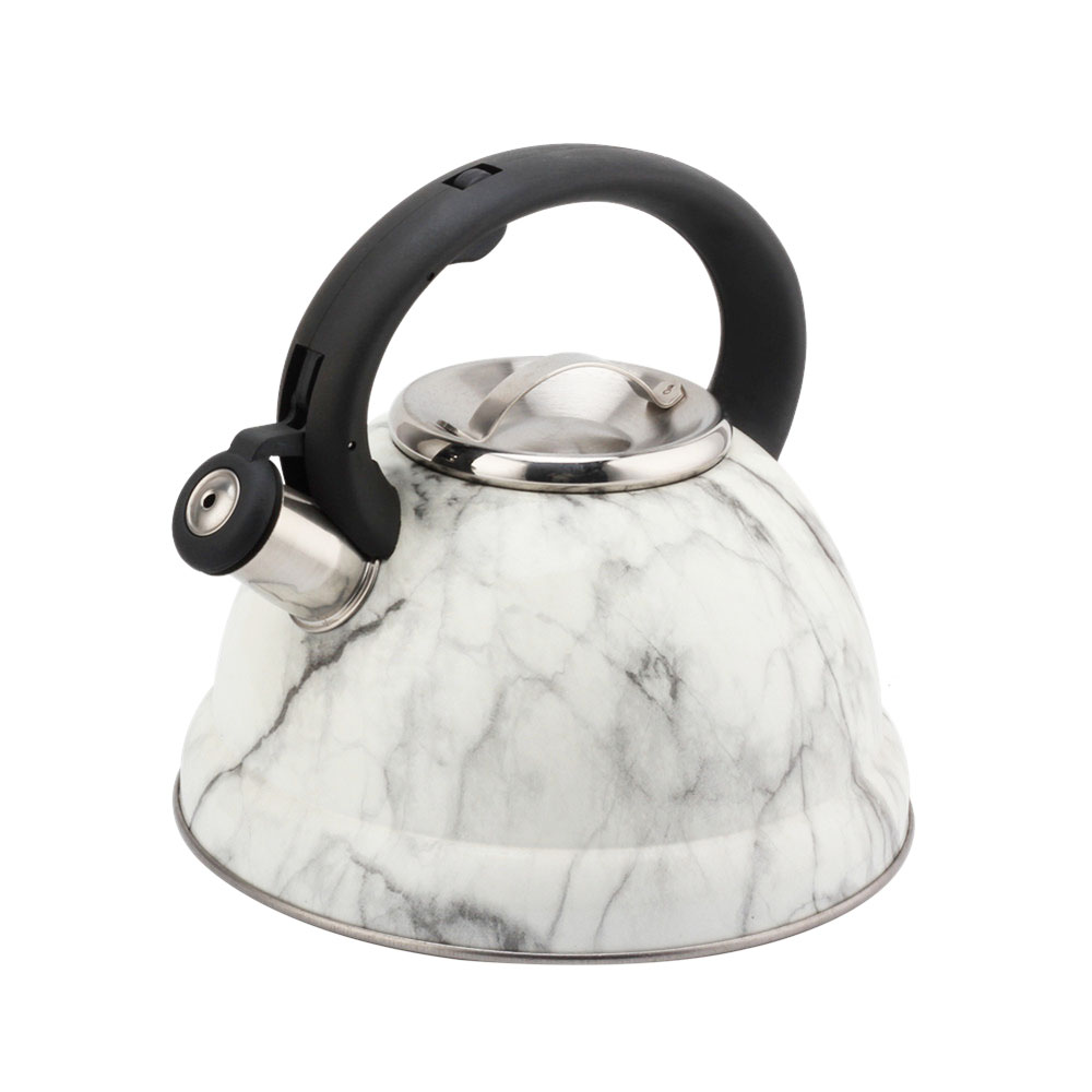 Modern Fashionable Whistling Kettle- Stainless Steel-Tea Set — 3