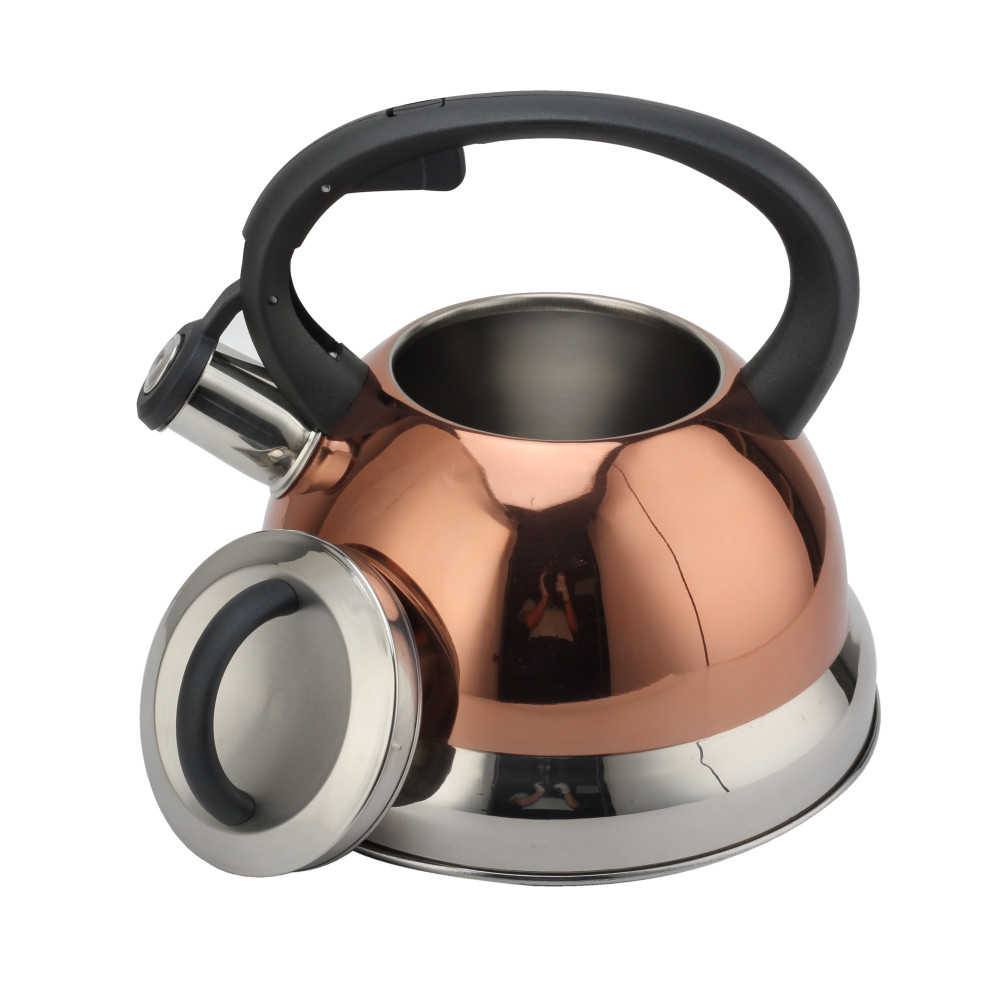 S/S Whistling Teapot With Handle for Induction And Gas — 3