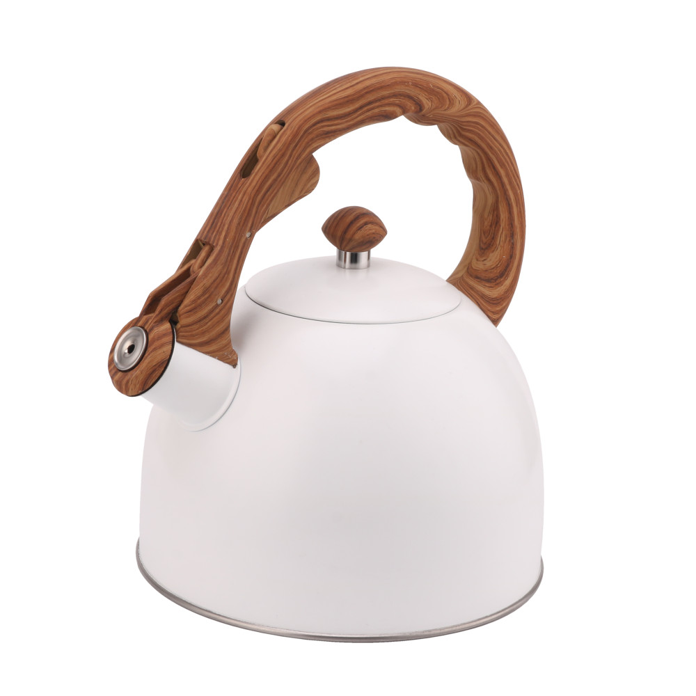Whistling Tea Kettle-Cooker Induction-Stainless Steel Teapot Quick Kettle for Kitchen — 2