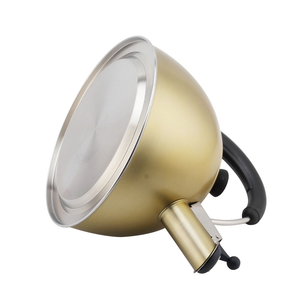 Modern S/S Whistling Kettle for Kitchen Golden — 4