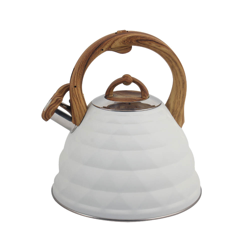 Stainless Steel whistling Kettle