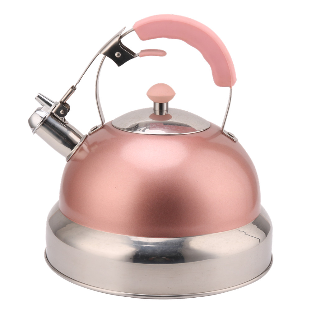 Kettle Induction-Stainless Steel Tea Kettle-Pink Color — product information