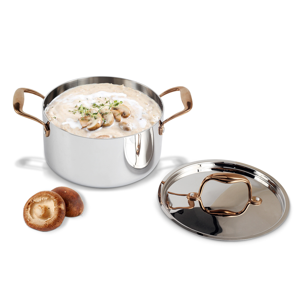 Whole-Clad Tri-Ply Small Stainless Steel Induction Stock Pot