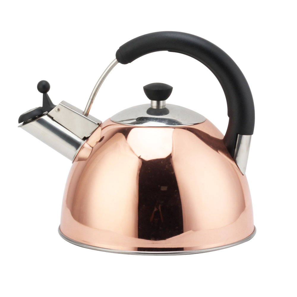 Modern S/S Whistling Kettle for Kitchen — product information